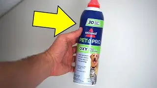 Bissell Oxy Stain Remover Remover (Link Below 👇)