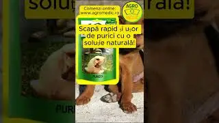 Scapă rapid și ușor de purici cu o soluție naturală! #purici #pureci #caini #pisici #animale