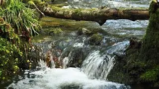 air sungai mengalir penghilang stres dan membantu relaksasi - 3 jam tanpa henti
