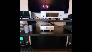 isoACOUSTICS indigo VS AURENDER
