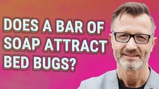 Does a bar of soap attract bed bugs?