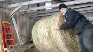 Moving a Large 800 lb Round Hay Bale by Hand