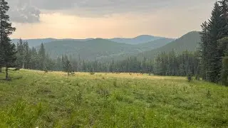 Rockies Day Hike 118: Missing Link Mountain again in the Sheep valley. Kananaskis country. 2023