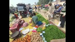 #Mohana #bajar 