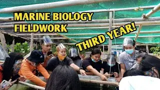 THIRD YEAR MARINE BIOLOGY FIELDWORK!