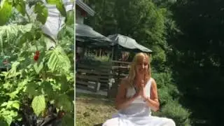 Seminario Reiki Primo livello a Veleso