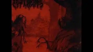 Pestnebel - Vanished to the Mystic Past