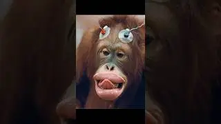 Scientific Validation of Communicating with Animals