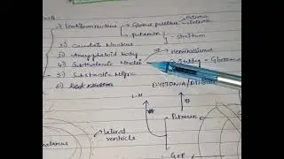 Parts of basal gangila 