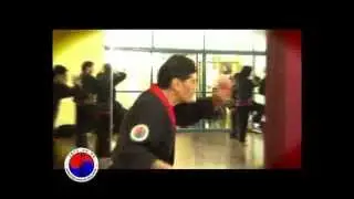 Formas Básicas maestro yoo dae wom