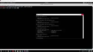 Adding raw input to our port scanner |6