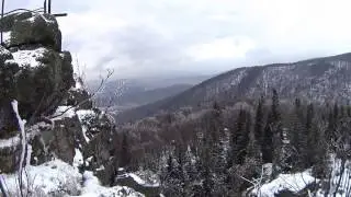 palicznik