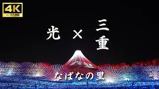 【三重】早春旅-なばなの里 イルミネーションと桜【4K】