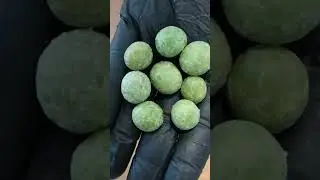 Wasabi spicy peanuts eat or pass.. #wasabiチャンネル #wasabi #spicyfood #peanuts #asmrsounds