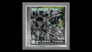 SG-NESE TOWNZ (Rmx) :TeddyzKillers FT ICY NIRVANA X PINK MOLLY 777 (Prod.PINK MOLLY 777)