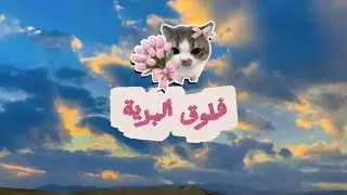 نشاطاتنا في البرية🤭👀🏃🏻‍♀️#dailyvlog #اكسبلور #anime #الرسوم #رسم 