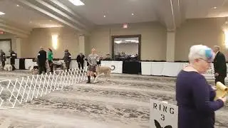 Lani and Trinley Elora Gorge Fri.Dec 29/2017 round 2