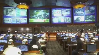 Sports Betting in Georgia | State Senate makes another try