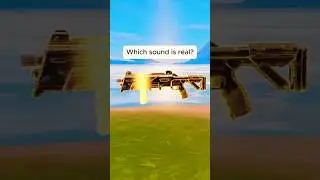 Which sound is real? Havoc Pump