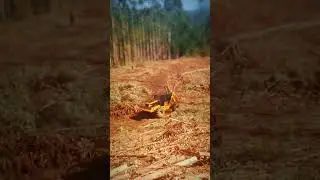 #automobile  #lifeisbutadream #wood #logging #skidder #farmlife #chainsawman #chainsaw #like