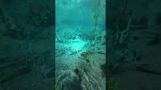 Fervedouro Rio Azul 😱💙💙💙 #superreels #top #trending #nature# shortvideo