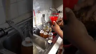 Boisson a base du champignon: kombucha