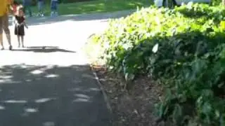 Heavy Metal Bike Ride