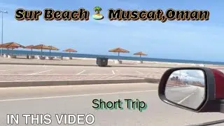 Sur Road Trip | Quriyat Road | Muscat Oman exploring |Danish Antule.