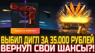 ВЕРНУТСЯ ЛИ ШАНСЫ ЕСЛИ ДОЛГО НЕ ДЕПАТЬ НА САЙТ?! ВЫБИЛ ДИГЛ ЗА 35.000 РУБЛЕЙ ПО ТАКТИКЕ НА WILDDROP!