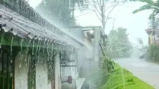 Heavy Rain Sounds 🌧️ Deep Sleep Fast | Calming Rain Ambience for Stress Relief