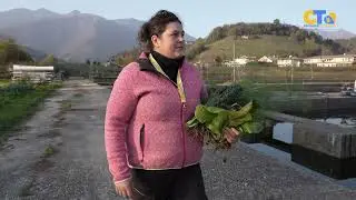 Coldiretti Treviso PPL : Azienda Agricola La Bella