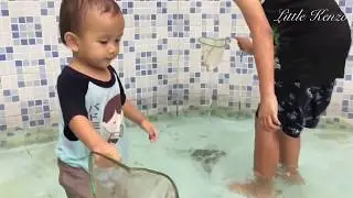 Lucu Banget 🤣 Reaksi Kenzo nyebur di Kolam Lobster dan Ikan 😁 The Funniest Baby