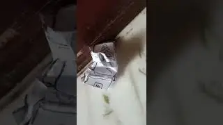 #trending #car#crash#Aude rs6