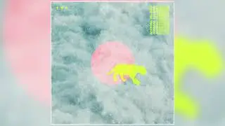 Animal Island - 