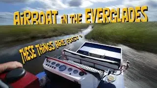 How to take an Everglades tour