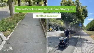 Wurzelbr&uuml;cken mit TERRAM Geozellen - Schutz von Stadtgr&uuml;n