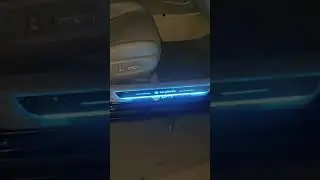 Nissan Illuminated Custom LED Door Sills Pro Lights