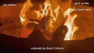 eris mirror - set it on fire {blood cultures cover} [visualizer]