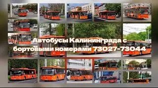 Автобусы Калининграда с бортовыми номерами 73027-73044 🚌