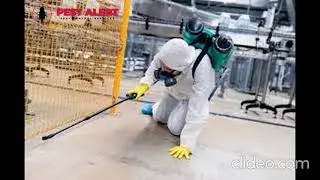 Cockroaches Control in Melbourne  |Cockroaches Control Melbourne