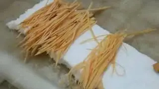 LG 503D ginger cutter 2 0