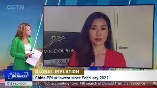 China PPI: 