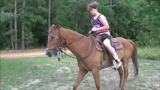 Kid Safe Horse for Sale:  Quarter Horse, 15 hands tall, Neck Reins and Gentle