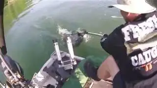 Another HOW2fish Georgia Walleye Fresh Caught on Lake Rabun