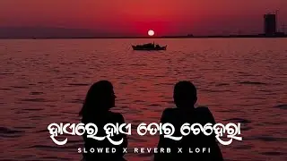 Hae Re Hae Tora Chehera | Odia slowed and reverb song | Lofi Mashup | @mihir_lofi