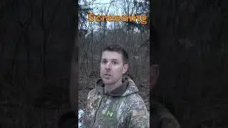 Top 3 ways to attract more bucks on small properties! #shorts #hunting #whitetaildeer