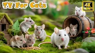🔴 Calming Cat TV &ndash; Cure Separation Anxiety with Fun Mouse Videos for Bored Cats to Watch Home Alone