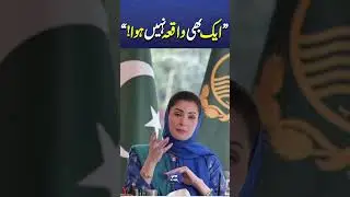 Safe Basant in Lahore! CM Maryam Nawaz Says Zero Harassment Cases Reported #trendingnow #shortsfeed