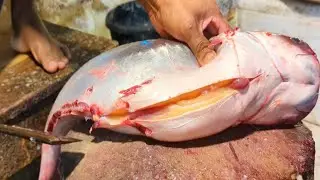 Amazing Pangas Fish Cutting and Skin Removing By Expert Cutter In Bangladesh Local Fish Market 