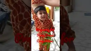 Fancy Dress : Animal in Action Giraffe